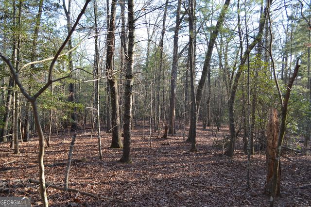 0 Mill Creek Trail, Cleveland, GA 30528