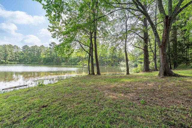 13165 Vicki Lynn Ln, Troup, TX 75789