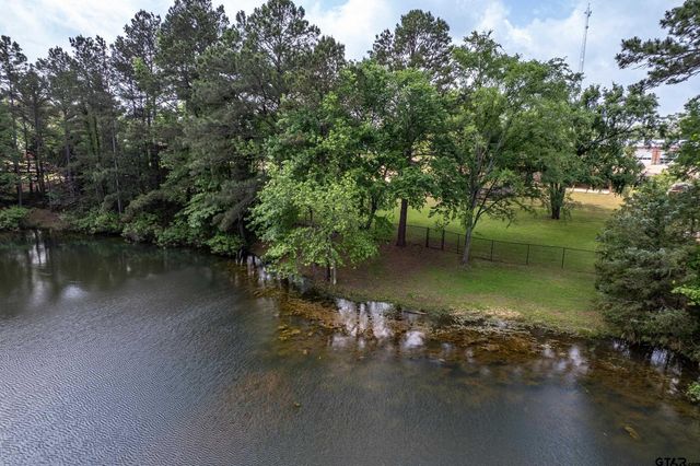 13165 Vicki Lynn Ln, Troup, TX 75789