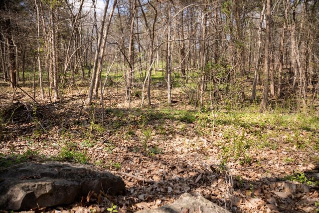 6 Akokisa Drive, Cherokee Village, AR 72525