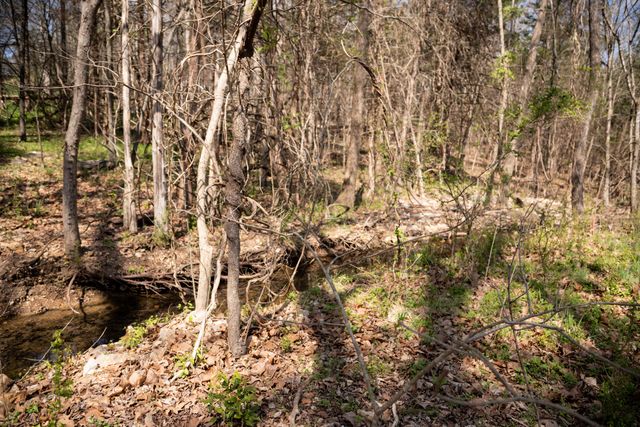 6 Akokisa Drive, Cherokee Village, AR 72525