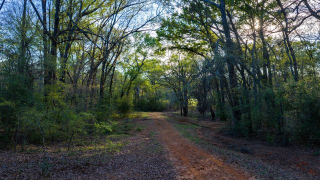 3773 W Sh 7, Crockett, TX 75823