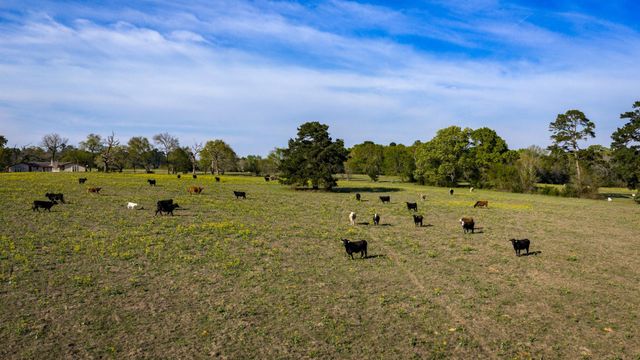 3773 W Sh 7, Crockett, TX 75823