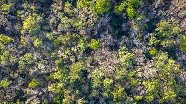 3773 W Sh 7, Crockett, TX 75823