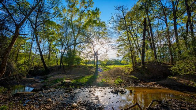 3773 W Sh 7, Crockett, TX 75823