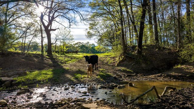 3773 W Sh 7, Crockett, TX 75823