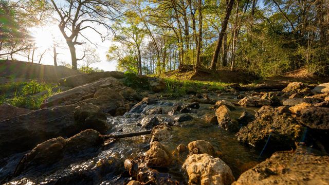 3773 W Sh 7, Crockett, TX 75823