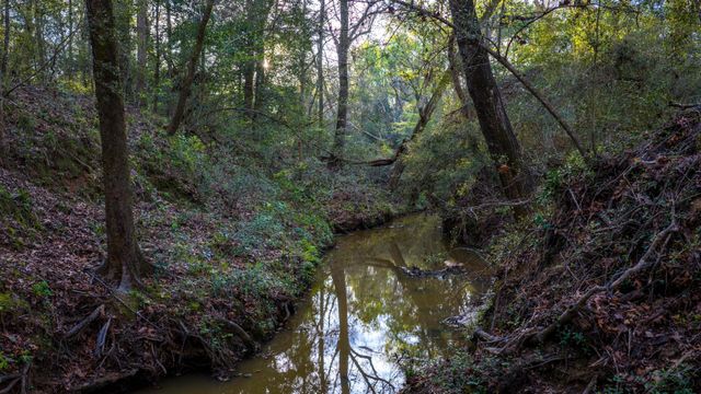 3773 W Sh 7, Crockett, TX 75823