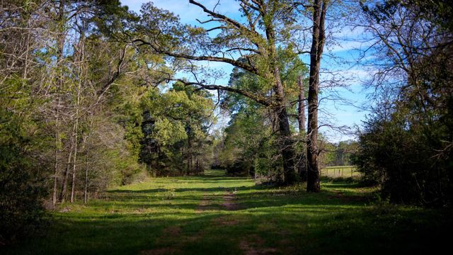 3773 W Sh 7, Crockett, TX 75823