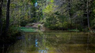 3773 W Sh 7, Crockett, TX 75823