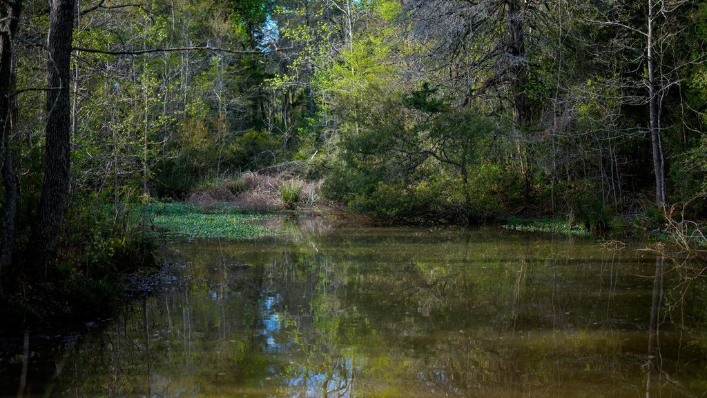 3773 W Sh 7, Crockett, TX 75823