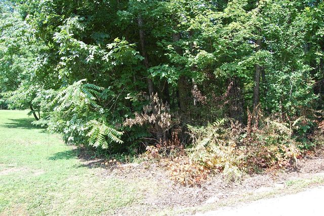 65 Dogwood Lane, Dunlap, TN 37327
