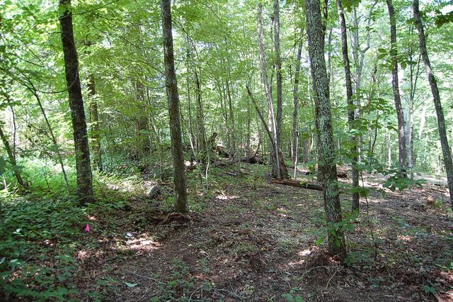 65 Dogwood Lane, Dunlap, TN 37327
