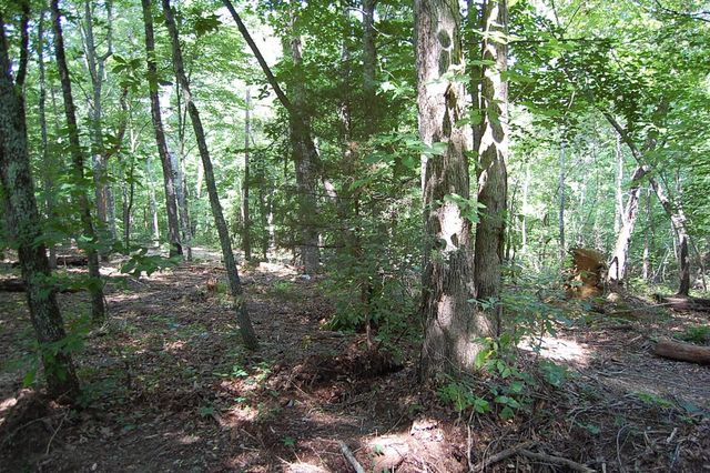 65 Dogwood Lane, Dunlap, TN 37327