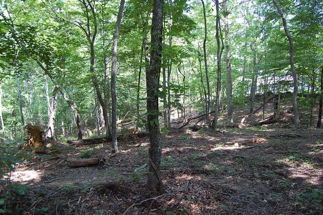 65 Dogwood Lane, Dunlap, TN 37327