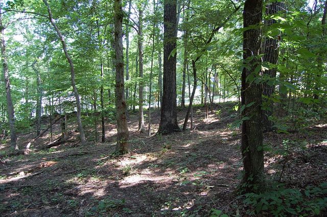 65 Dogwood Lane, Dunlap, TN 37327