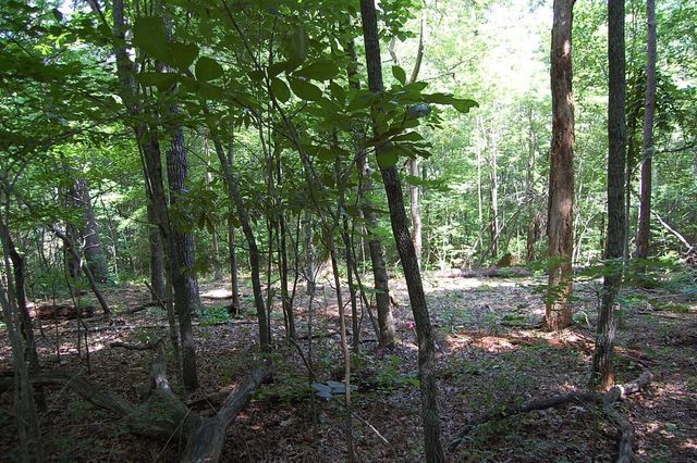 65 Dogwood Lane, Dunlap, TN 37327