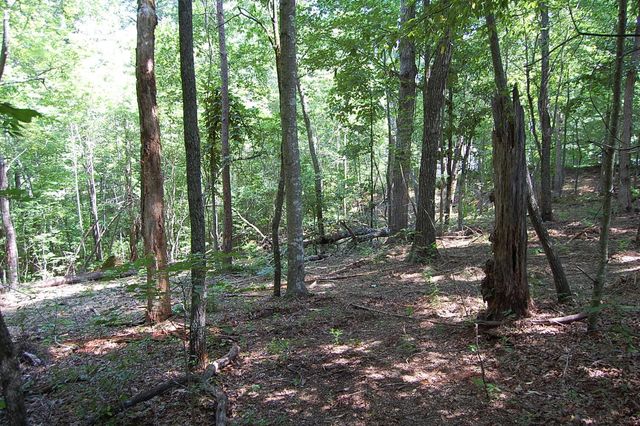 65 Dogwood Lane, Dunlap, TN 37327