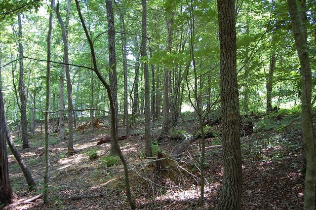 65 Dogwood Lane, Dunlap, TN 37327