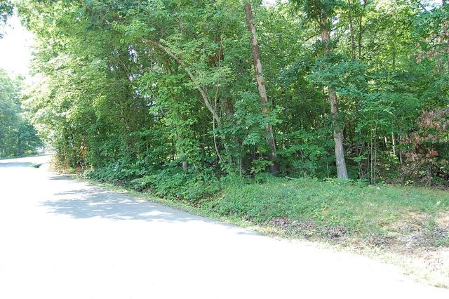 65 Dogwood Lane, Dunlap, TN 37327