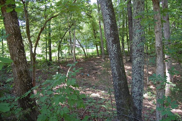 65 Dogwood Lane, Dunlap, TN 37327