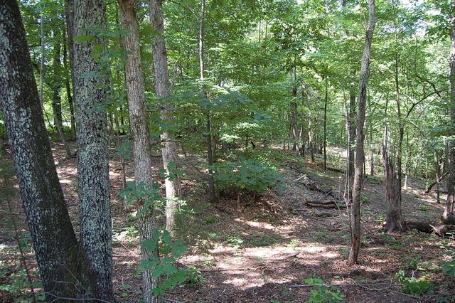 65 Dogwood Lane, Dunlap, TN 37327