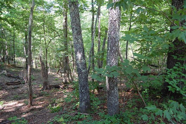 65 Dogwood Lane, Dunlap, TN 37327