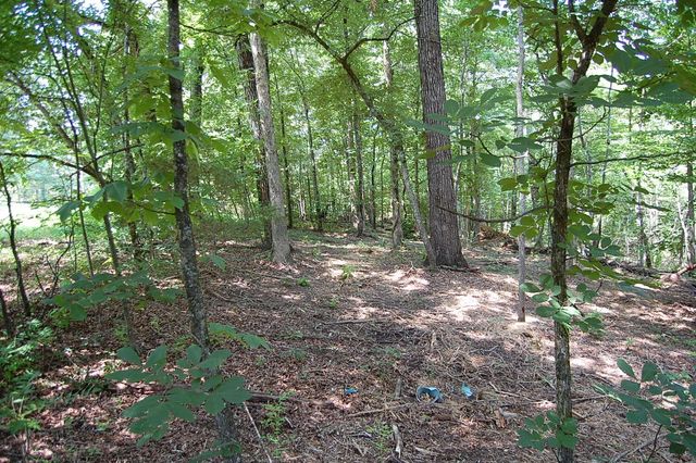 65 Dogwood Lane, Dunlap, TN 37327