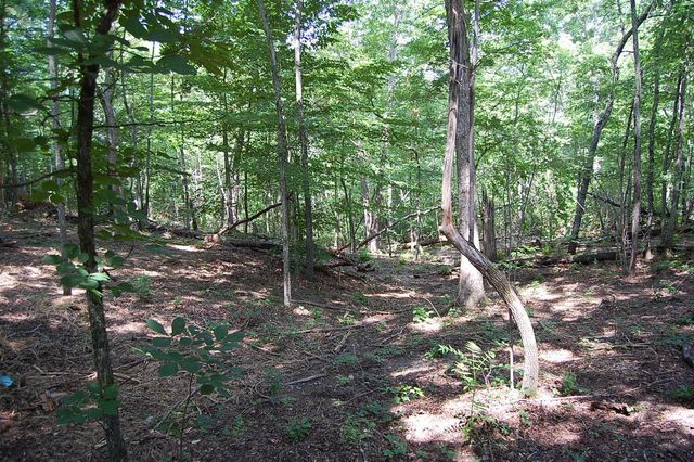 65 Dogwood Lane, Dunlap, TN 37327