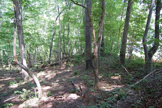 65 Dogwood Lane, Dunlap, TN 37327