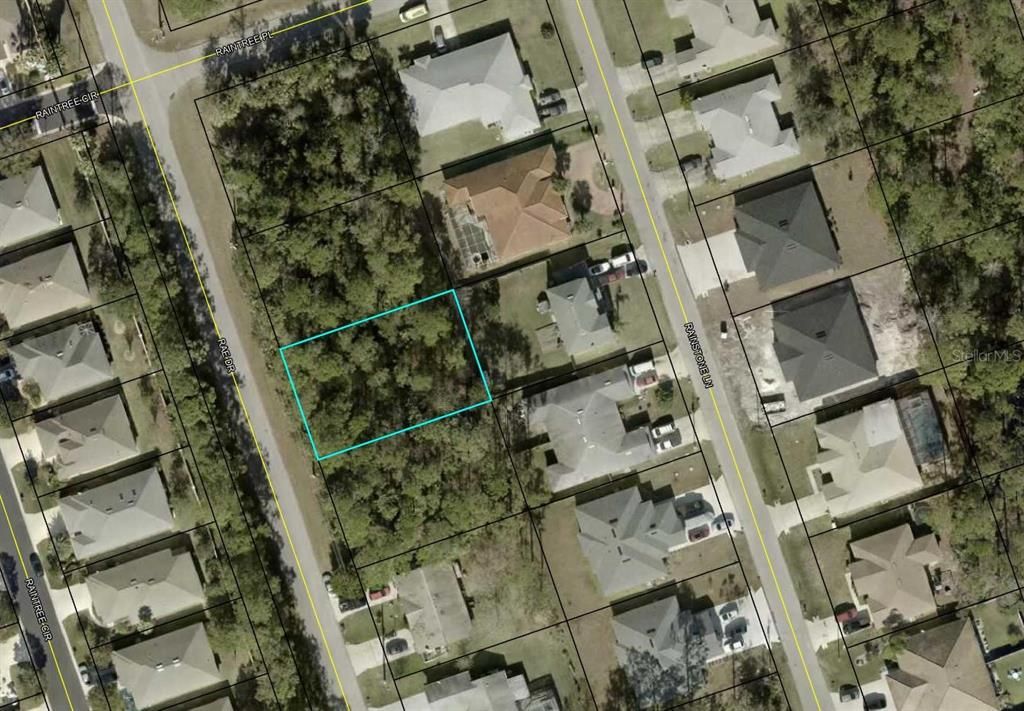 119 RAE DRIVE, Palm Coast, FL 32164