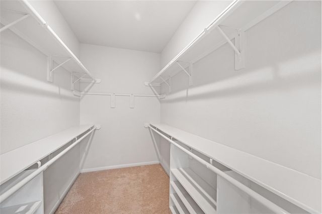 207 Canvasback Drive, Clute, TX 77531