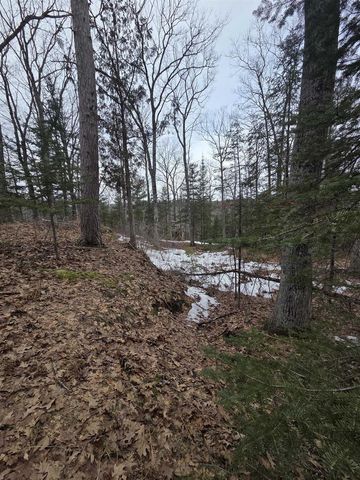 N14181 US HIGHWAY 141, Amberg, WI 54102