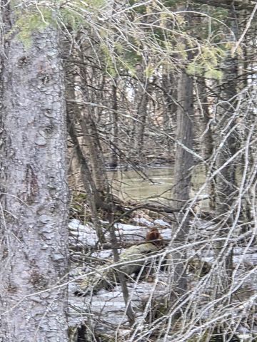 N14181 US HIGHWAY 141, Amberg, WI 54102