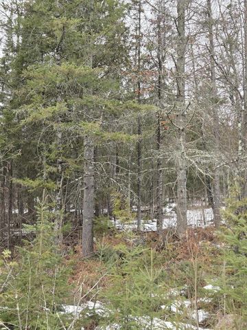 N14181 US HIGHWAY 141, Amberg, WI 54102