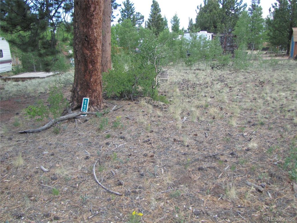 112 Lantern Loop, Hartsel, CO 80449