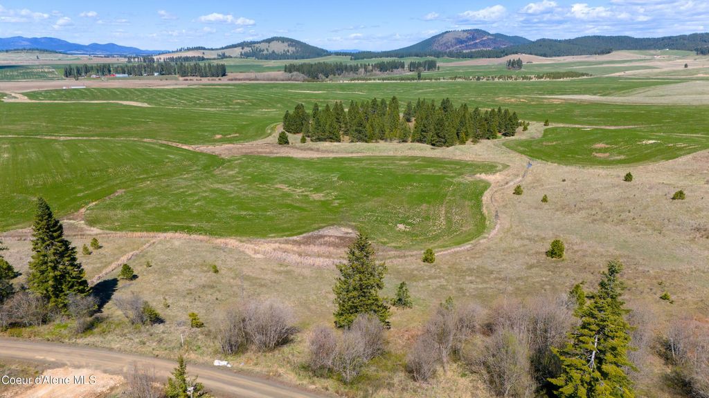 Lot 3 Lone Moose Dr, Plummer, ID 83851 photo 2