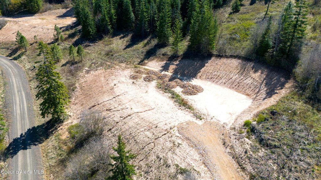 Lot 3 Lone Moose Dr, Plummer, ID 83851 photo 4