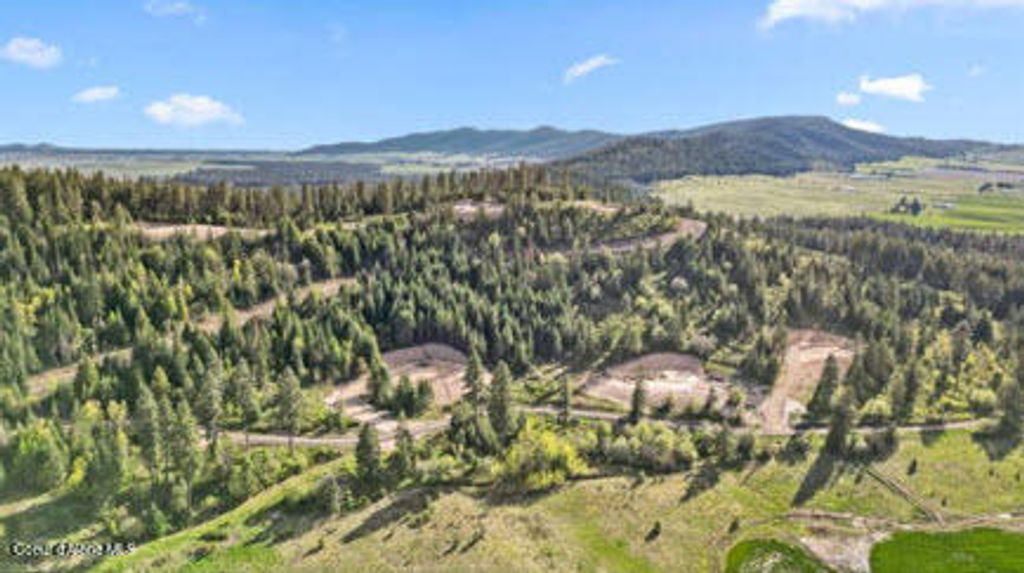 Lot 3 Lone Moose Dr, Plummer, ID 83851 photo 5