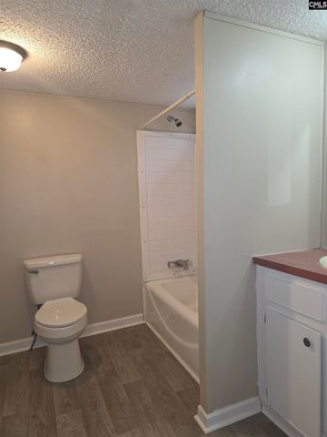 132 Elijah Lane, Pelion, SC 29123
