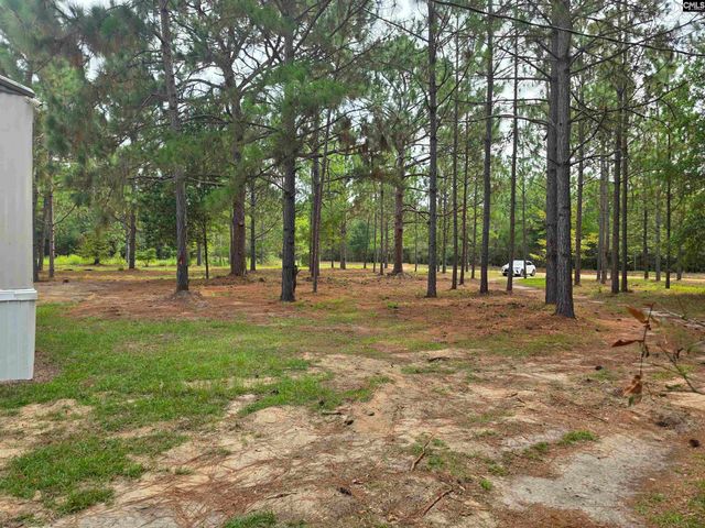132 Elijah Lane, Pelion, SC 29123