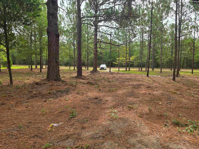 132 Elijah Lane, Pelion, SC 29123