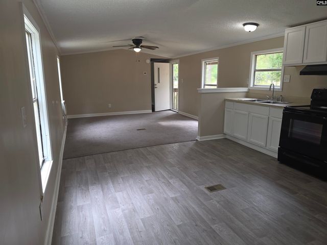 132 Elijah Lane, Pelion, SC 29123