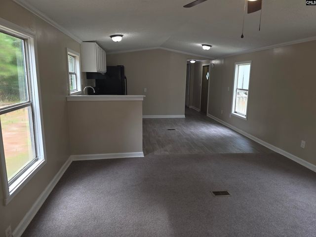 132 Elijah Lane, Pelion, SC 29123