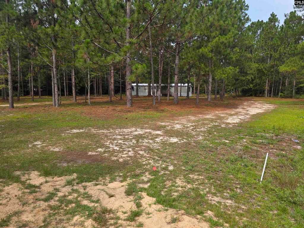 132 Elijah Lane, Pelion, SC 29123