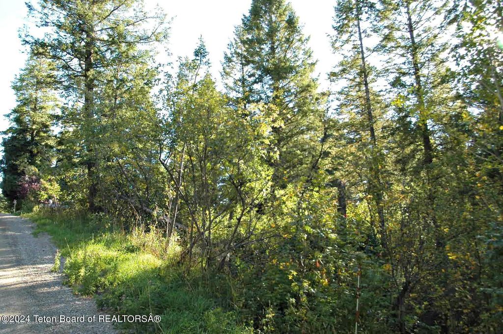 LOT 20 CEDAR CREEK Drive, Star Valley Ranch, WY 83127