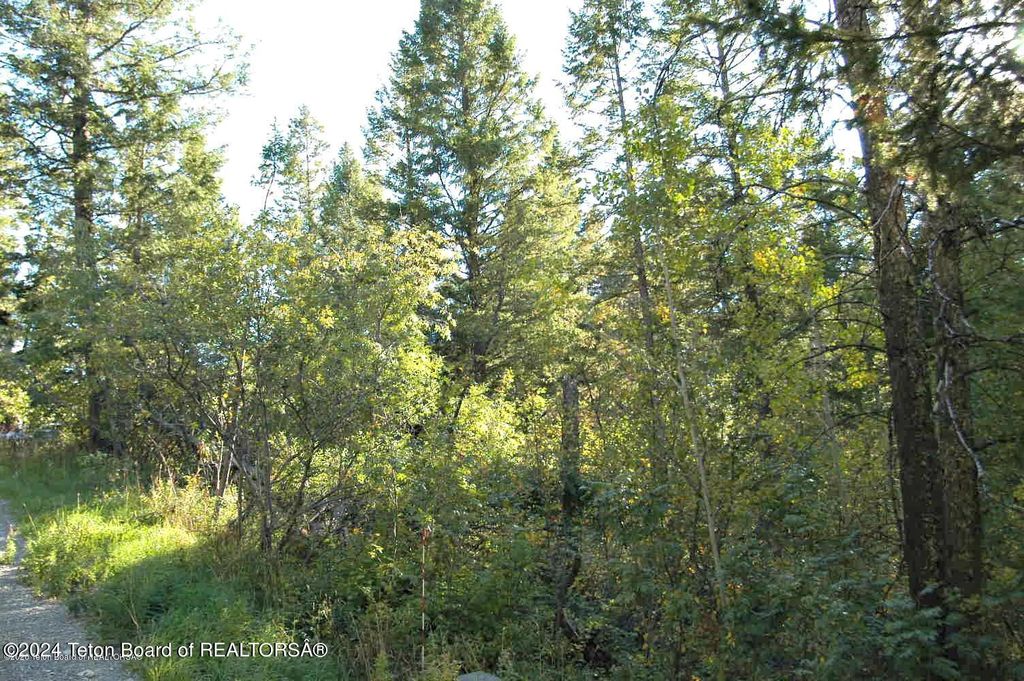 LOT 20 CEDAR CREEK Drive, Star Valley Ranch, WY 83127 photo 3