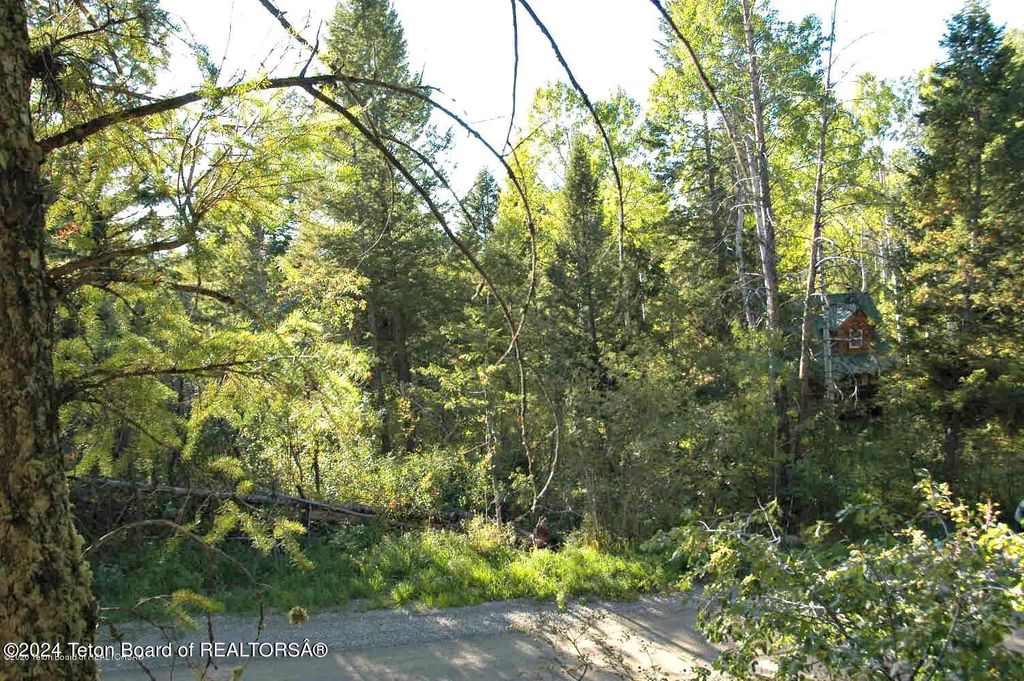 LOT 20 CEDAR CREEK Drive, Star Valley Ranch, WY 83127 photo 4