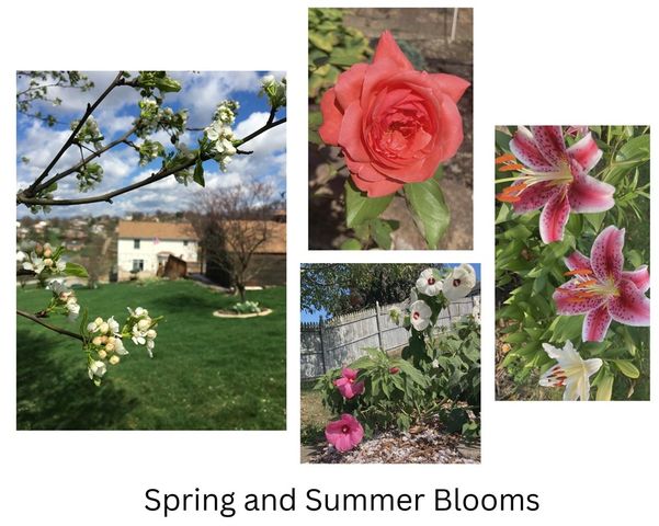 625 Preferred Drive, South Franklin, PA 15301