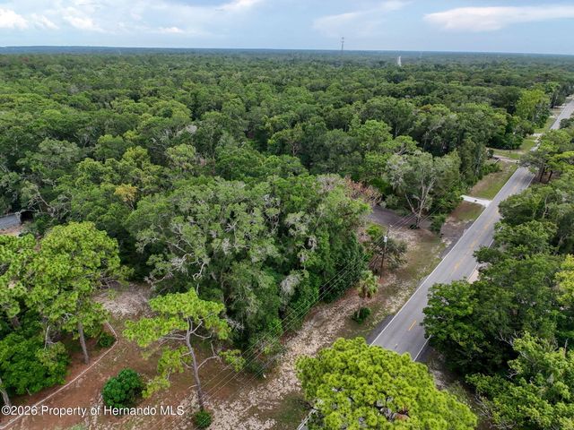 0 Fort Dade Avenue, Brooksville, FL 34601